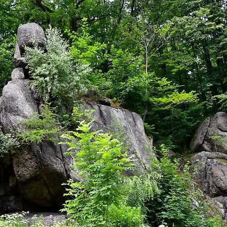 Wilcza Gajowka Villa Sosnówka Екстериор снимка