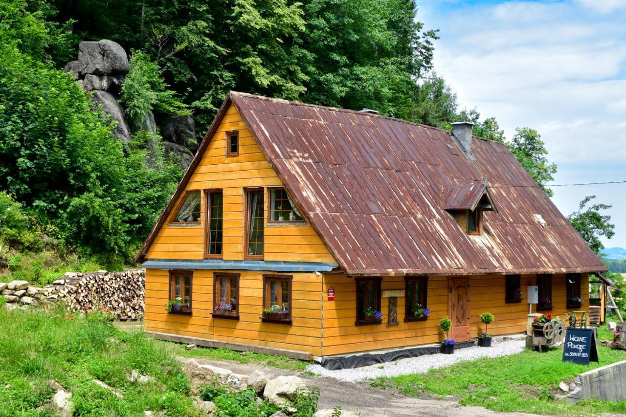 Wilcza Gajowka Villa Sosnówka Екстериор снимка